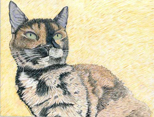 Custom Cat Portrait: Anna