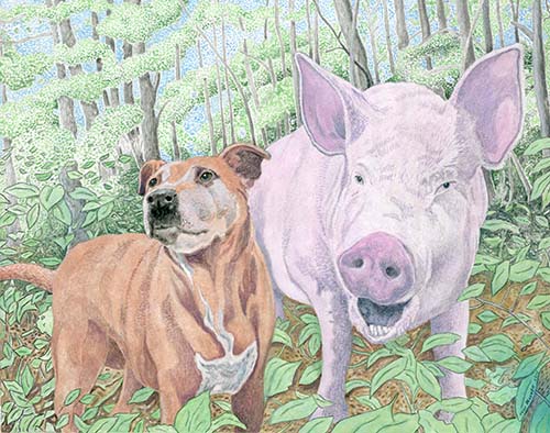 Custom Portrait: Esther the Wonder Pig & Shelby