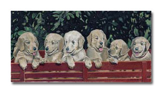 Custom Portrait: Golden Puppies