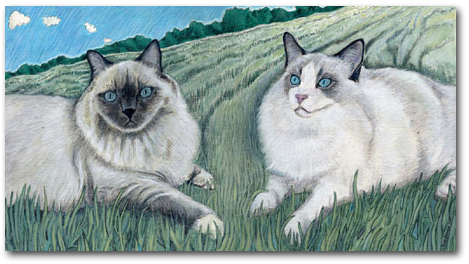 Custom Cat Portrait: Sundance & Mai Tai