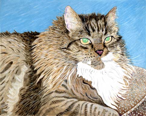 Custom Portrait: Cody Cat