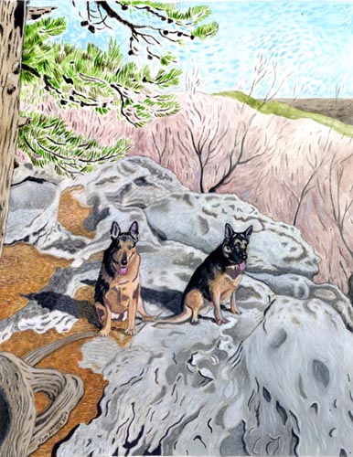 Custom Portrait: Kona & Sarge